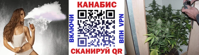 Каннабис MAZAR  Теберда 